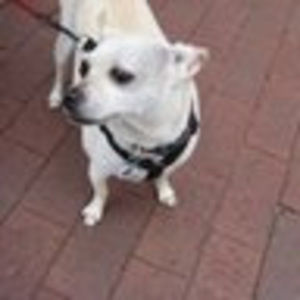 Meet your Posher, Martha